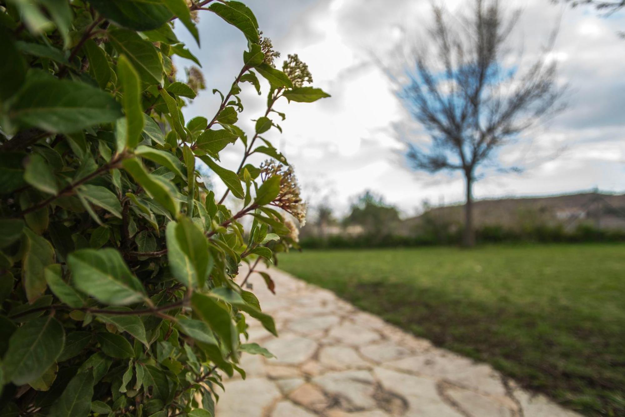 Cabana De Campo Agost ภายนอก รูปภาพ